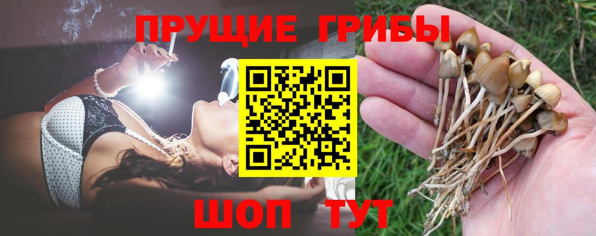 Пыть-Ях  Галлюциногенные грибы Magic Shrooms  Псилоцибиновые грибы мицелий  Вход с VPN 